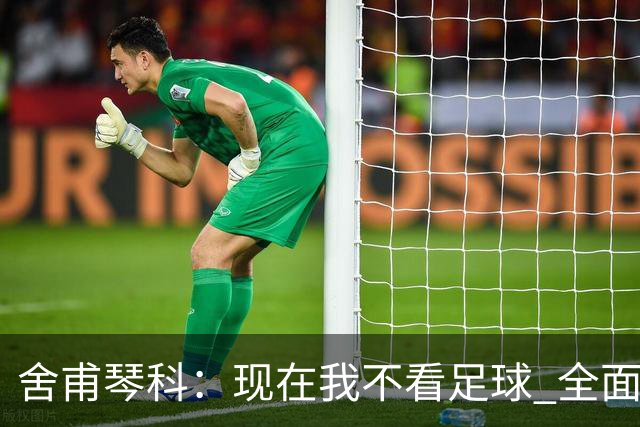舍甫琴科：现在我不看足球 全面禁赛俄罗斯很正确